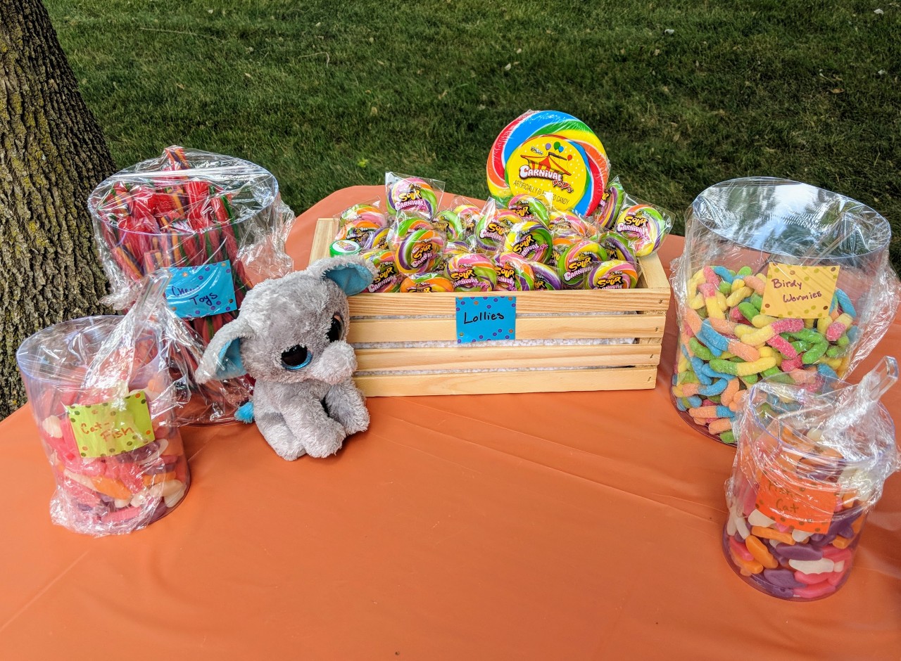 Plan a Beanie Boo Adoption Party Your Kiddo Will Love - Loves You Crafts