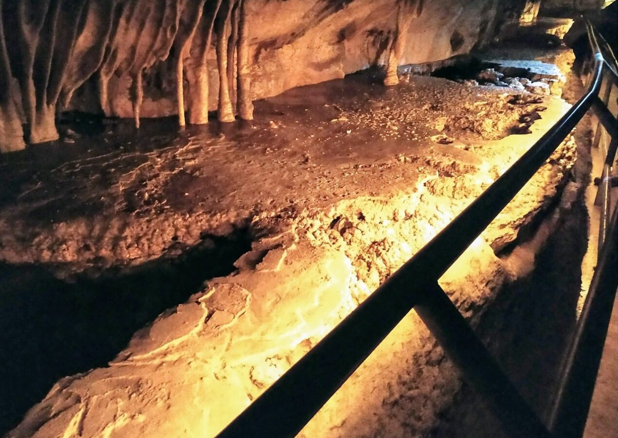 Take a Tour of Minnesota’s Mystery Cave for an Amazing and Inexpensive Day of Learning