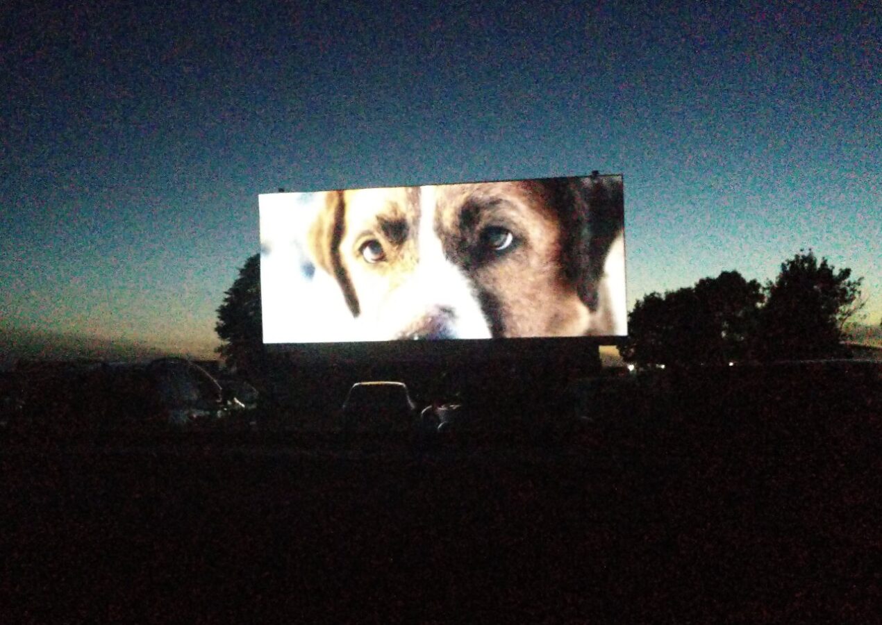 Review: Verne Drive-In Theater, Budget Friendly and Delicious Night Out